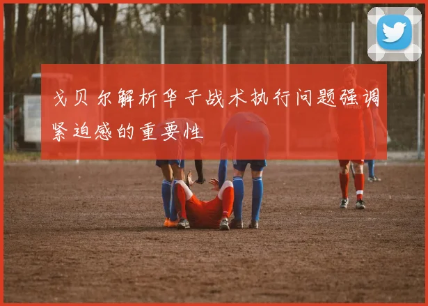 戈贝尔解析华子战术执行问题强调紧迫感的重要性