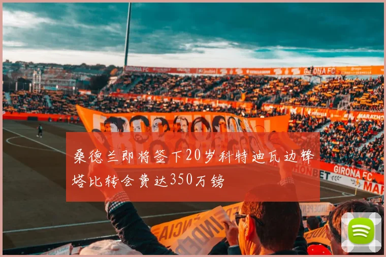 桑德兰即将签下20岁科特迪瓦边锋塔比转会费达350万镑