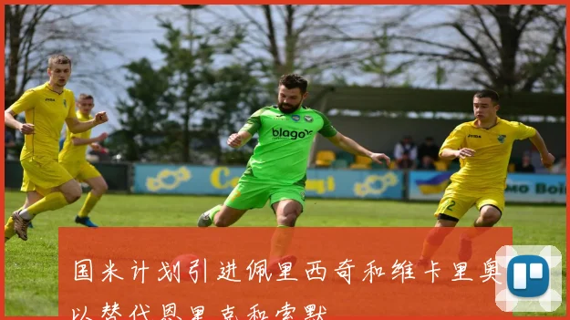 国米计划引进佩里西奇和维卡里奥以替代恩里克和索默