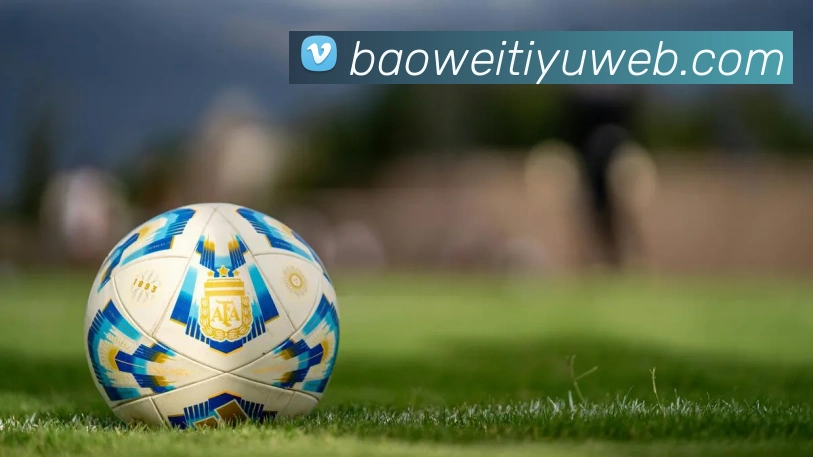 宝威体育平台生态图